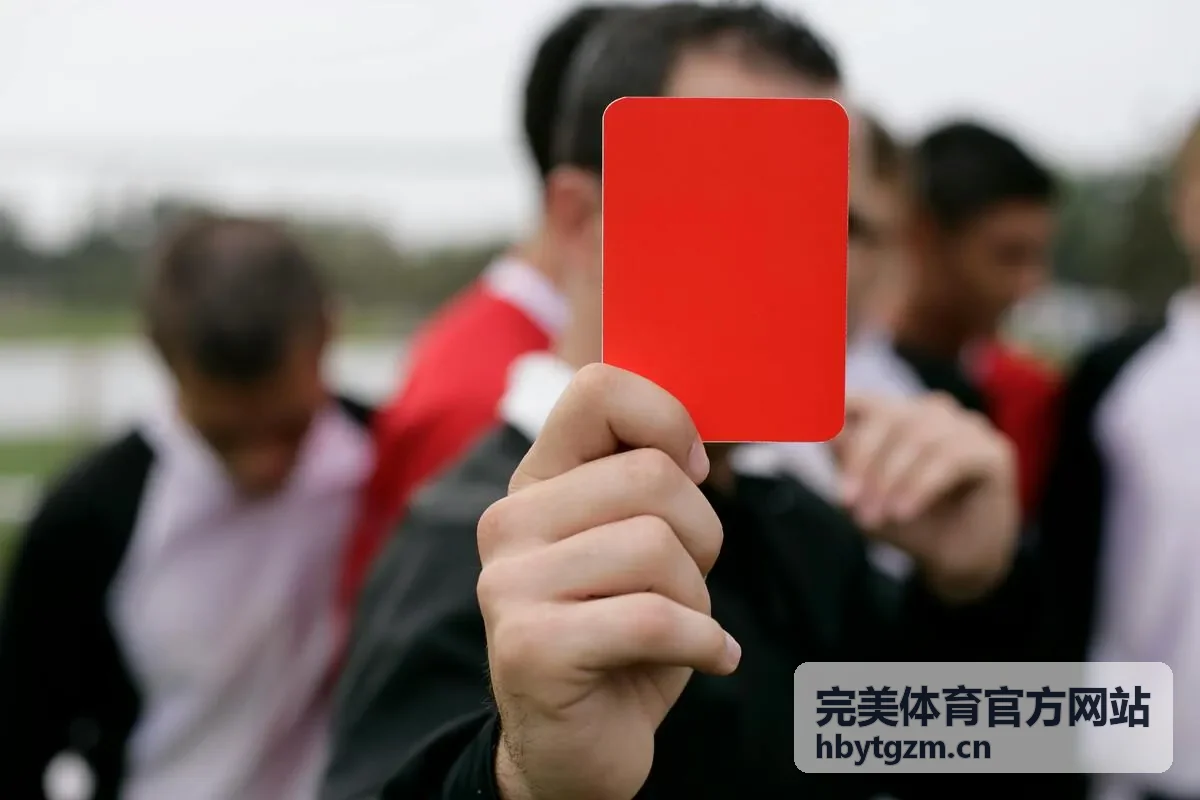 完美体育官方网站智慧体育中心升级项目